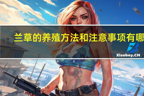 兰草的养殖方法和注意事项有哪些
