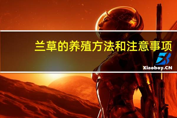 兰草的养殖方法和注意事项