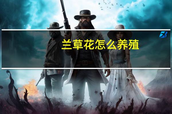 兰草花怎么养殖