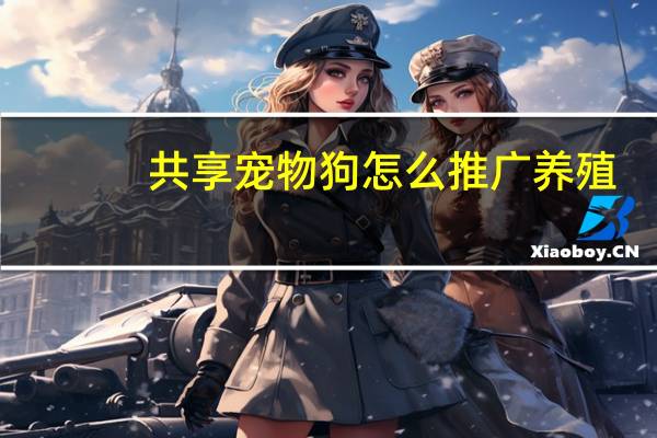 共享宠物狗怎么推广养殖