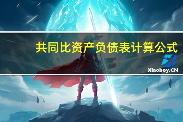 共同比资产负债表计算公式