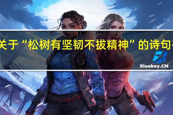 关于“松树有坚韧不拔精神”的诗句有哪些