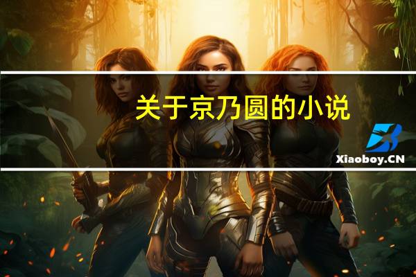 关于京乃圆的小说