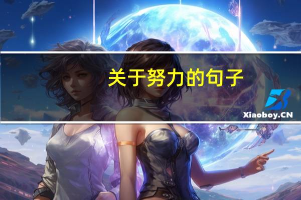 关于努力的句子（关于学习的句子）