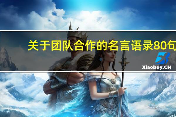 关于团队合作的名言语录80句（关于团队合作管理）