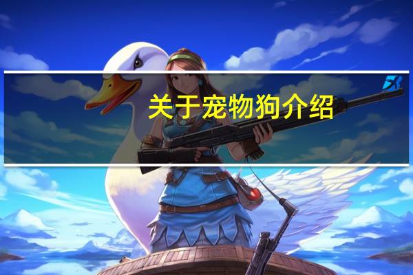 关于宠物狗介绍