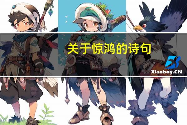 关于惊鸿的诗句