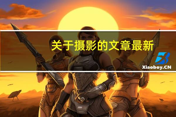 关于摄影的文章最新（关于摄影的文艺句子）