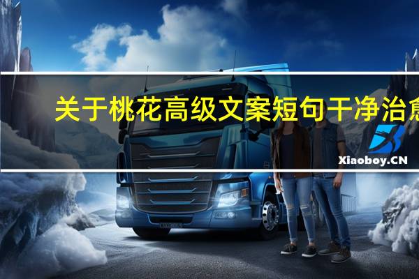 关于桃花高级文案短句干净治愈