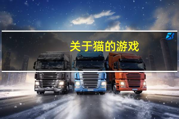 关于猫的游戏（猫的游戏）