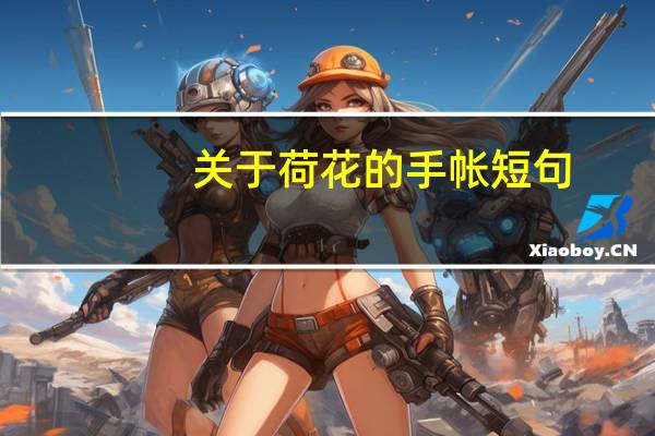 关于荷花的手帐短句