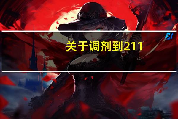 关于调剂到211