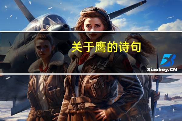 关于鹰的诗句