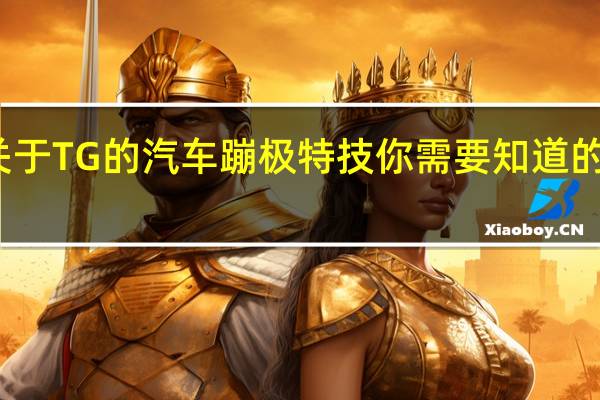 关于TG的汽车蹦极特技你需要知道的十件事