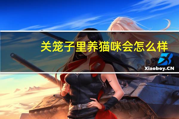 关笼子里养猫咪会怎么样