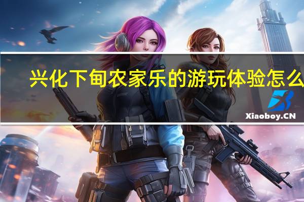 兴化下甸农家乐的游玩体验怎么样