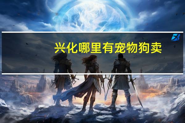 兴化哪里有宠物狗卖