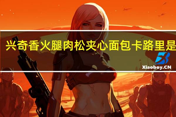 兴奇香 火腿肉松夹心面包卡路里是多少