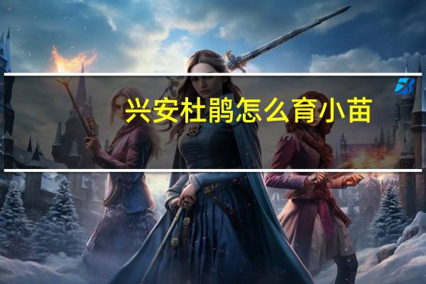 兴安杜鹃怎么育小苗