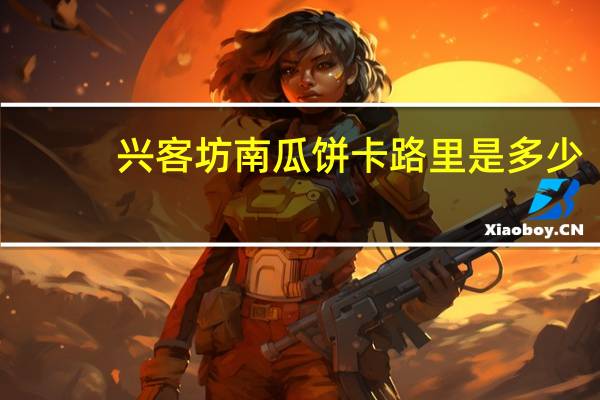 兴客坊南瓜饼卡路里是多少