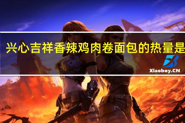 兴心吉祥 香辣鸡肉卷面包的热量是多少