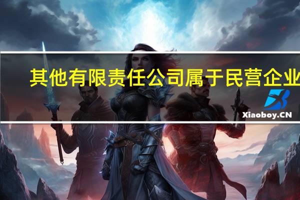 其他有限责任公司属于民营企业吗（其他有限责任公司）