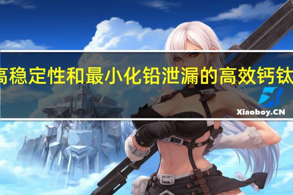 具有更高稳定性和最小化铅泄漏的高效钙钛矿太阳能电池