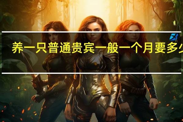 养一只普通贵宾一般一个月要多少钱