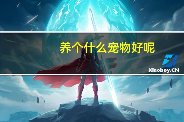 养个什么宠物好呢