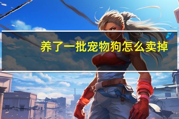 养了一批宠物狗怎么卖掉