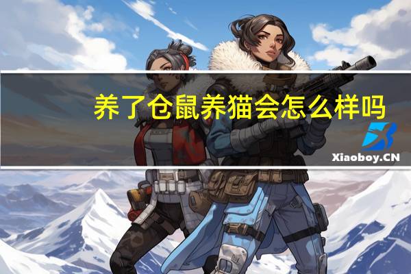 养了仓鼠养猫会怎么样吗