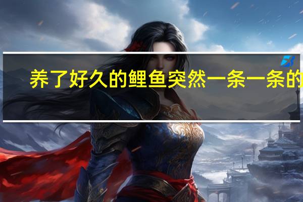 养了好久的鲤鱼突然一条一条的死