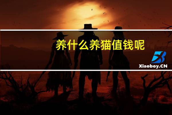 养什么养猫值钱呢