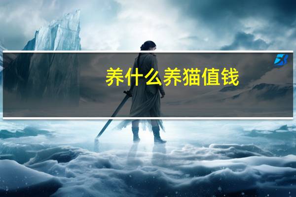 养什么养猫值钱