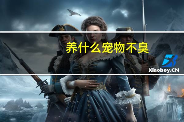 养什么宠物不臭