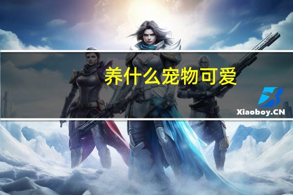 养什么宠物可爱