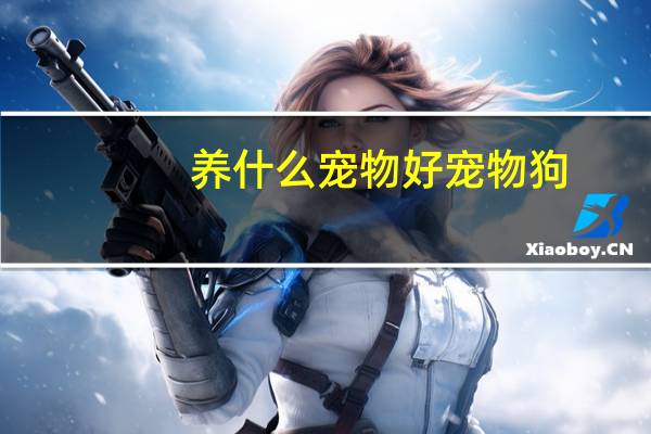 养什么宠物好宠物狗