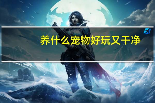 养什么宠物好玩又干净
