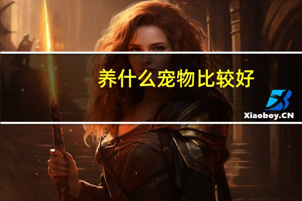 养什么宠物比较好