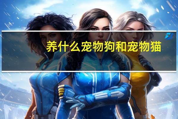 养什么宠物狗和宠物猫