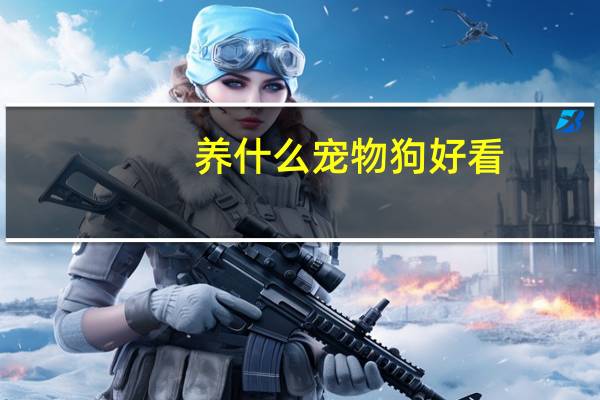 养什么宠物狗好看