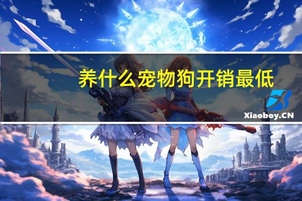 养什么宠物狗开销最低