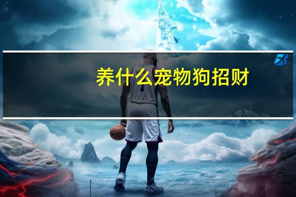 养什么宠物狗招财