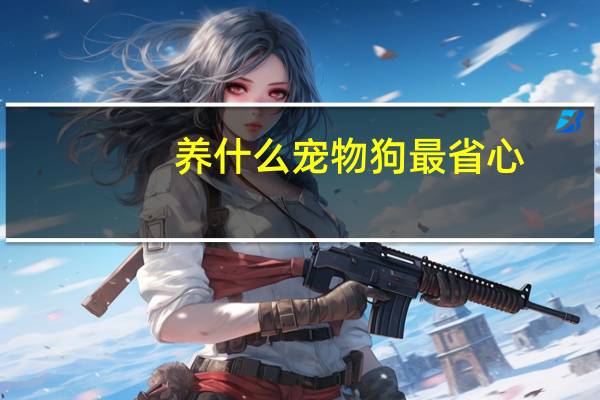 养什么宠物狗最省心