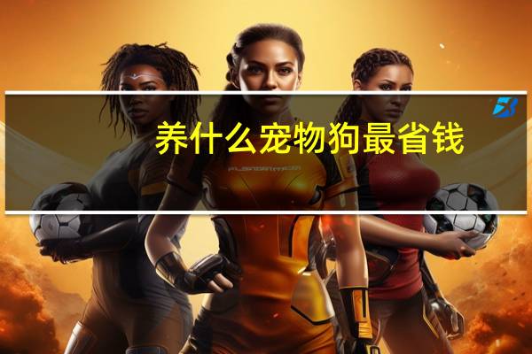 养什么宠物狗最省钱