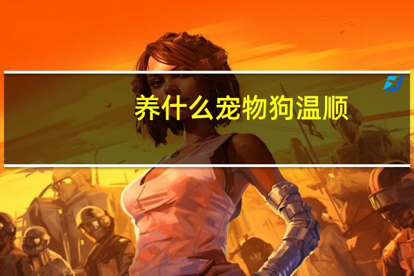 养什么宠物狗温顺