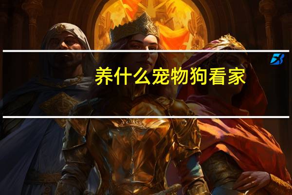 养什么宠物狗看家