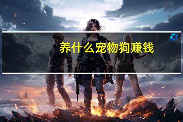 养什么宠物狗赚钱