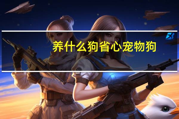 养什么狗省心宠物狗