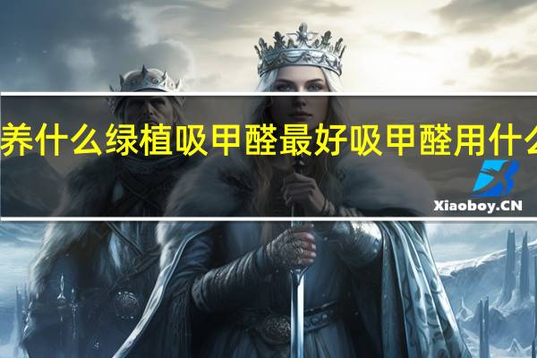养什么绿植吸甲醛最好 吸甲醛用什么绿化